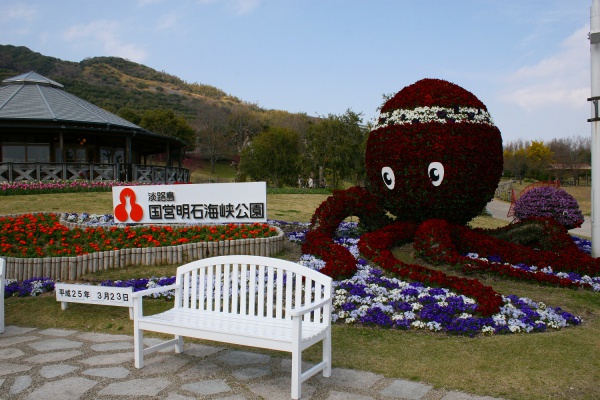 23たこ（ビオラ）03