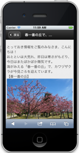 スタッフブログ詳細